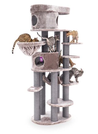 Cat tree Isabella 210