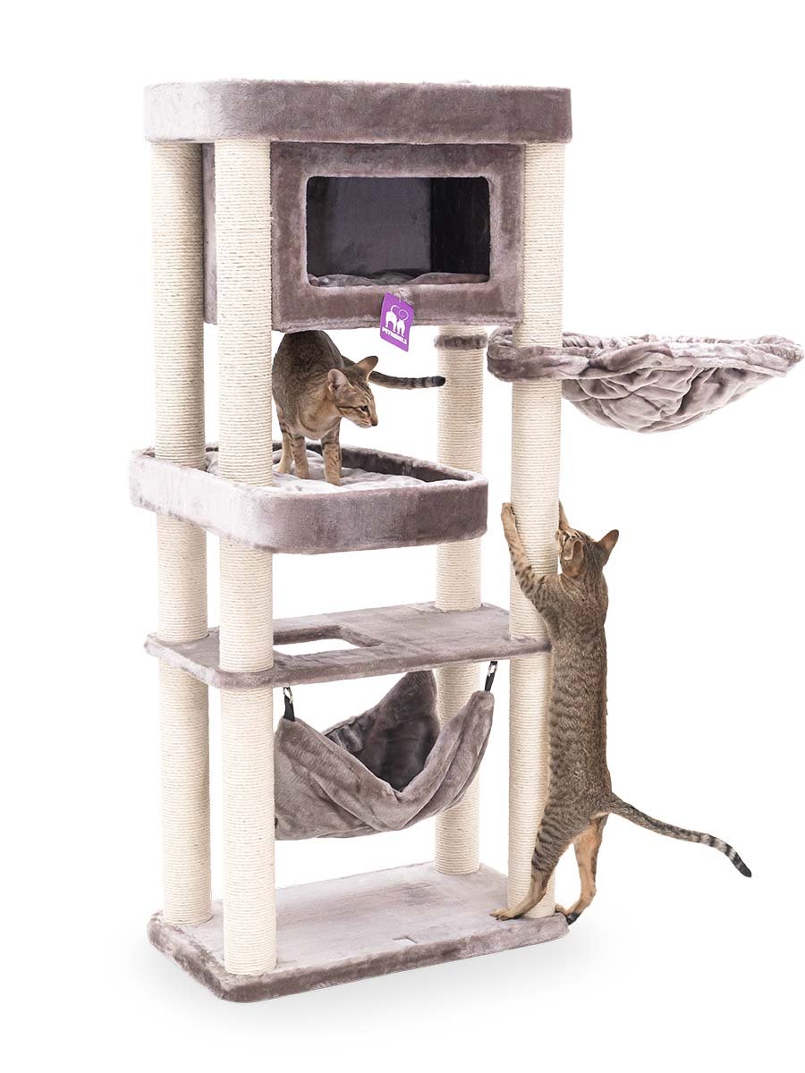 Cat Tree Mansion 150 - Cappuccino - 9cm Post - with hammock