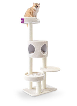 Cat Tree Residence 142