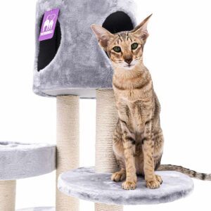 Cat Tree Residence 147 - Grey - 9cm Post - cushion incl.