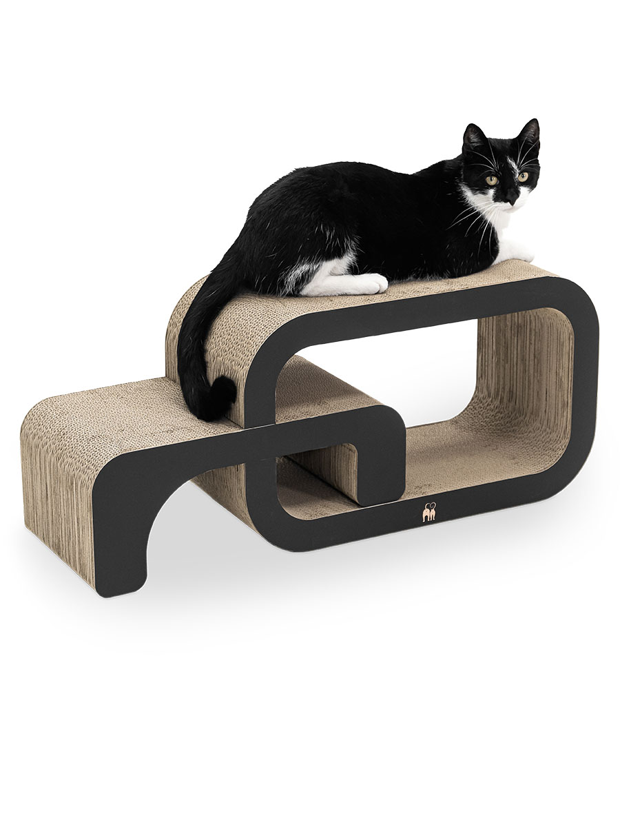 Cardboard Cat Furniture Cat Not Using Scratching Post EveryYay