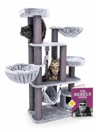 Cat tree Vista 170 - Grey - 12cm Post - XXL - for multiple cats