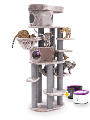 Cat tree Isabella 210 - Cappuccino - 12cm Post - XXL