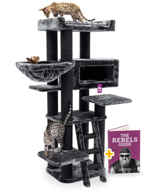 Cat tree Estate 170 - Pepper - 12cm Post - XXL - for multiple cats
