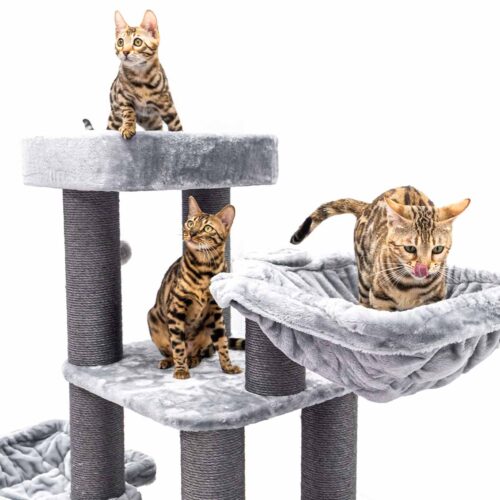 Cat Tree Interstate 173 - Grey- 12 cm post - XXL – for multiple