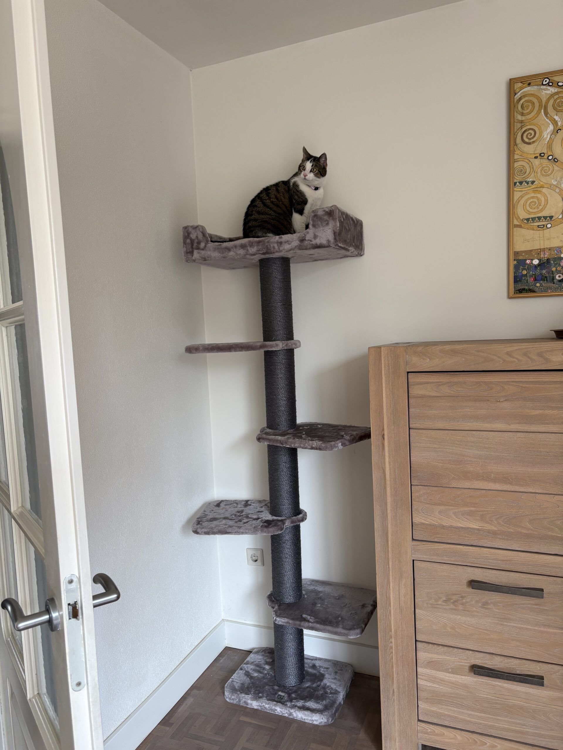 Cat tree Alexis 224 - Cappuccino - 12cm Post - wall mounting