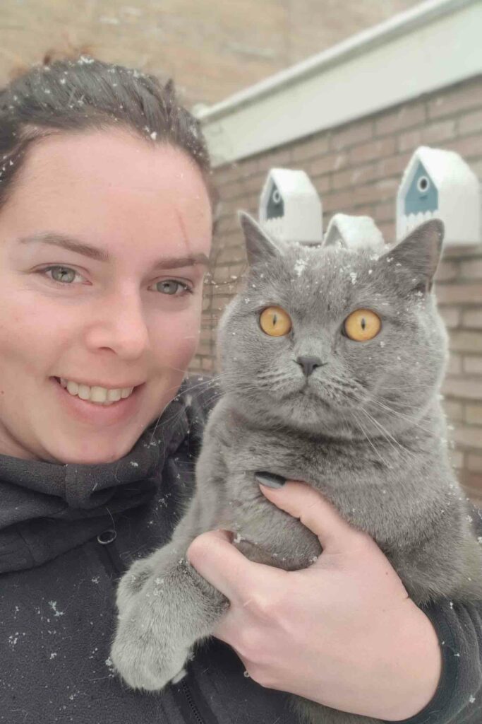 Woman holding grey cat with orange eyes