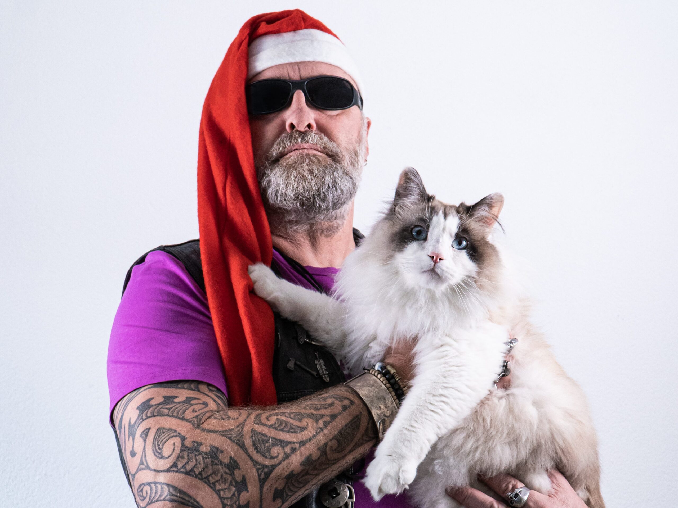 Mr. Rebel in a Santa hat holds a white Siberian forest cat