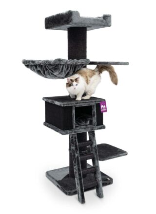Arbre à chat Ragdoll 180