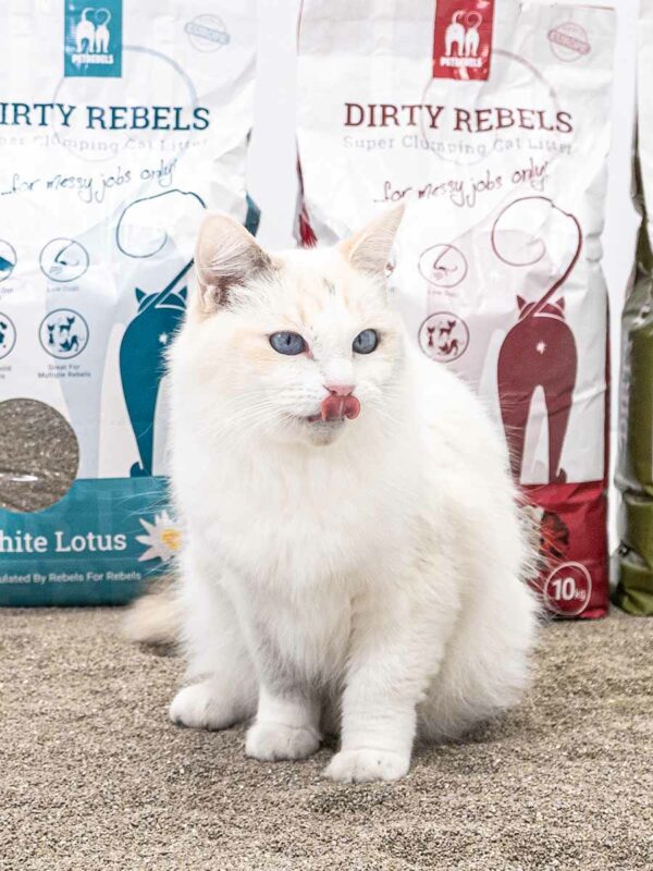 Kattenbakvulling 10L Babypowder