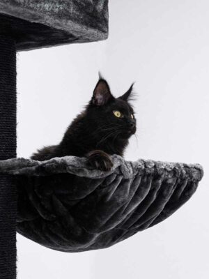 Arbre à chat Turnpike 190 - noir (poivre)- 15 cm poteau - XXL – pour plusiers chats