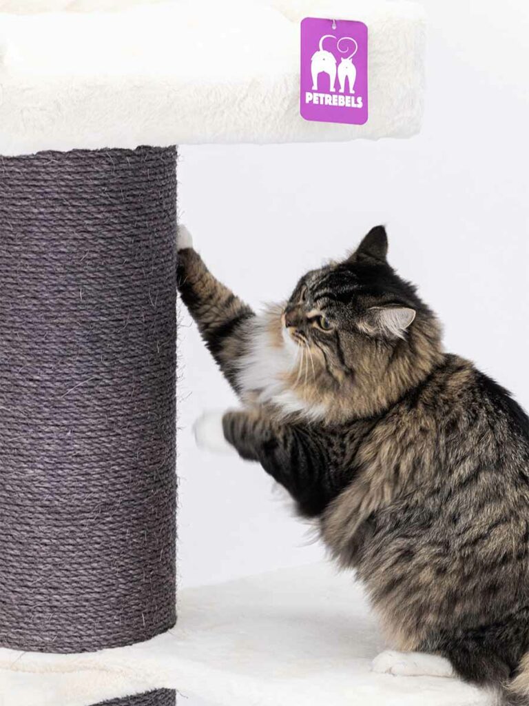 Arbre à Chat Skyline 186 Off White - Petrebels - 769,00