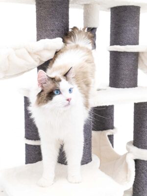 Arbre à chat Skybox 187 - blanc cassé