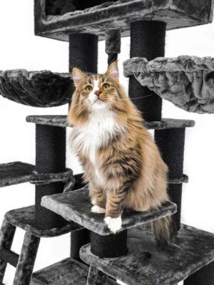 Arbre à chat Skybox 187 - Noir (poivre)