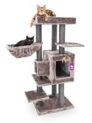 Arbre à chat Cleopatra 134 - Cappuccino - poteau 9 cm diamètre - avec Hamac