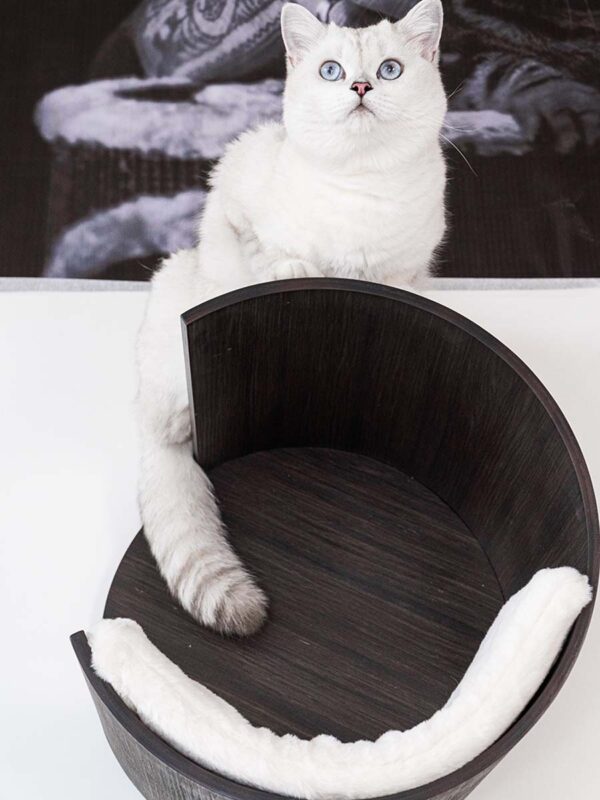 Kattenmuur Moon 40