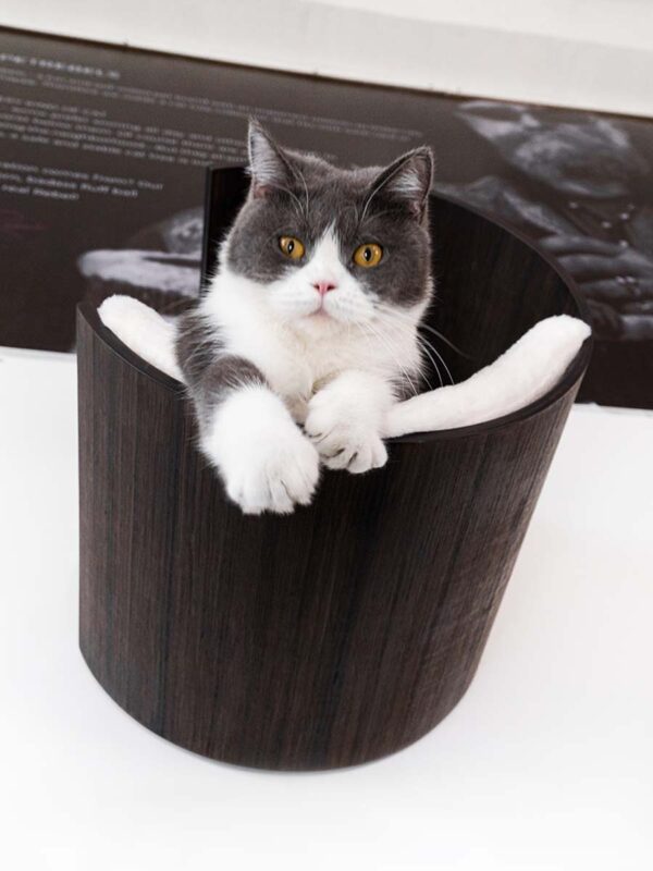 Kattenmuur Moon 40
