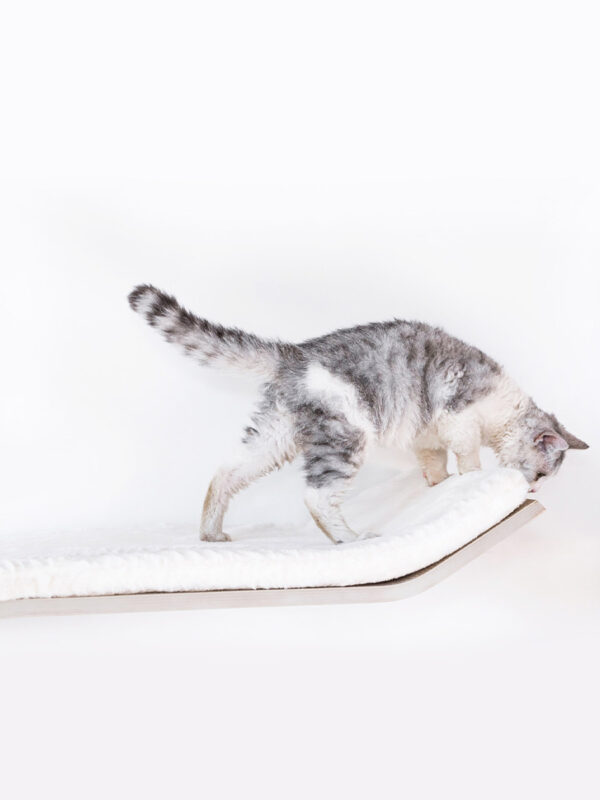 Kattenmuur Wave 70