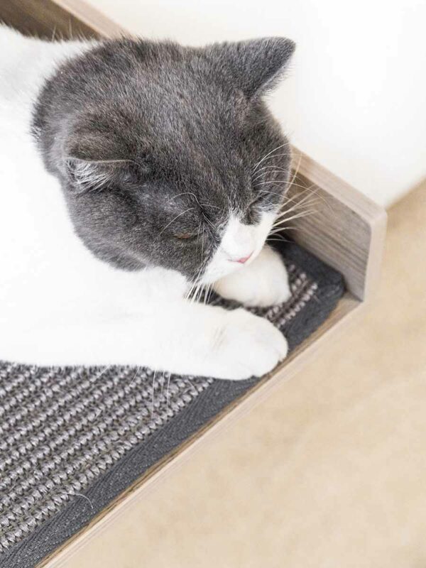 Kattenmuur Corner lounge 35