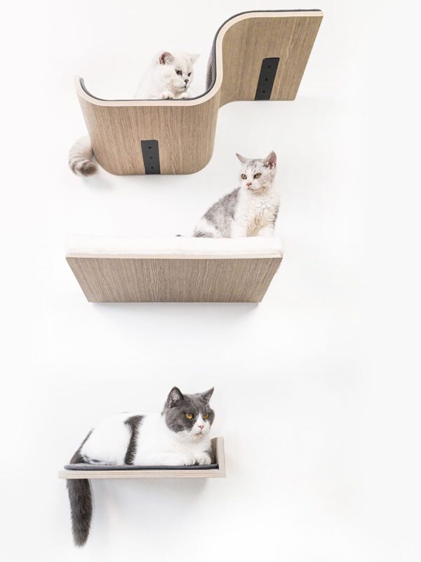 Kattenmuur Corner lounge 35