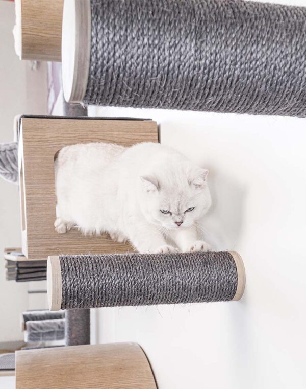 Kattenmuur Horizon 0930 set