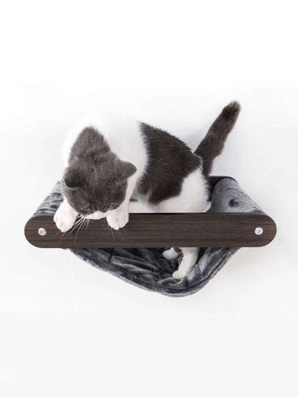 Kattenmuur Lazy 50