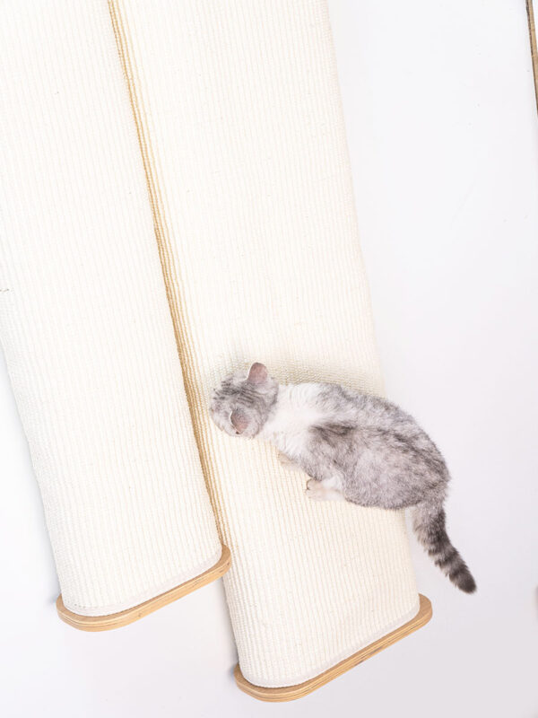 Kattenmuur Box bag 165