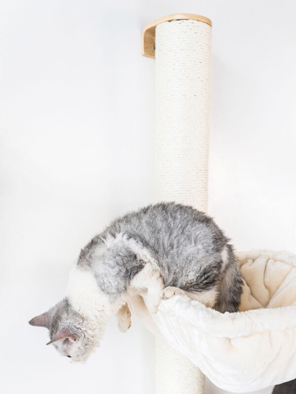 Kattenmuur Climb 2080 set