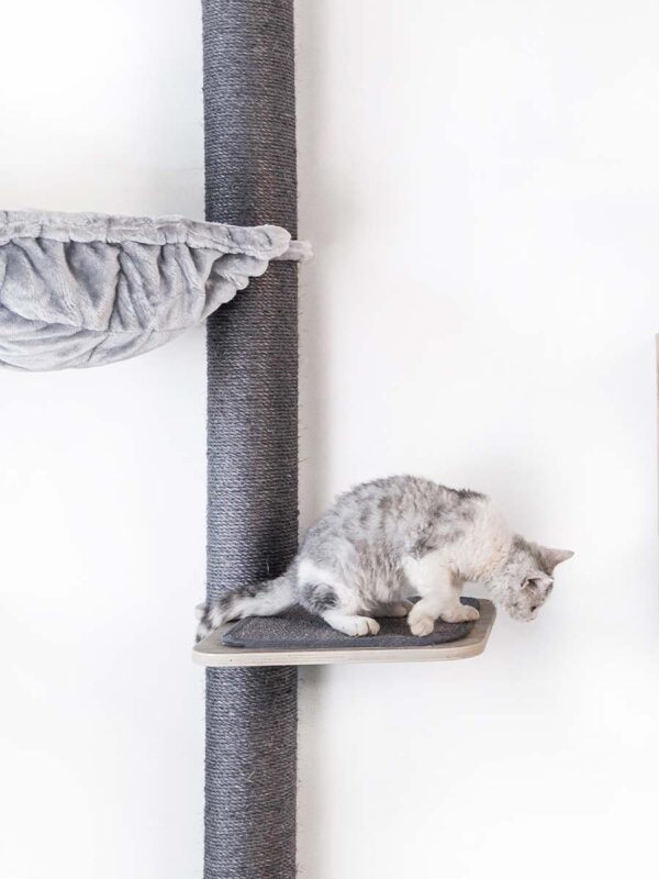 Kattenmuur Climb 2080 set