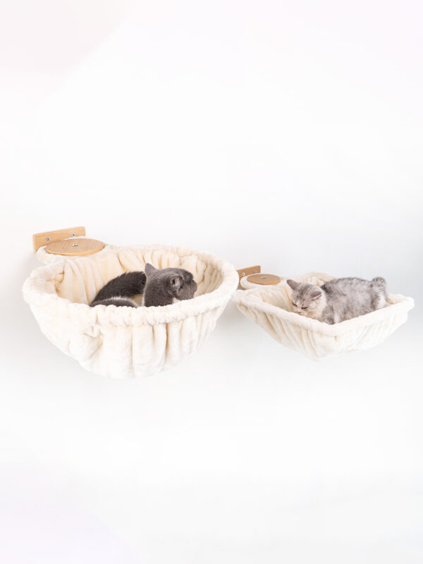 Kattenmuur Disc 20