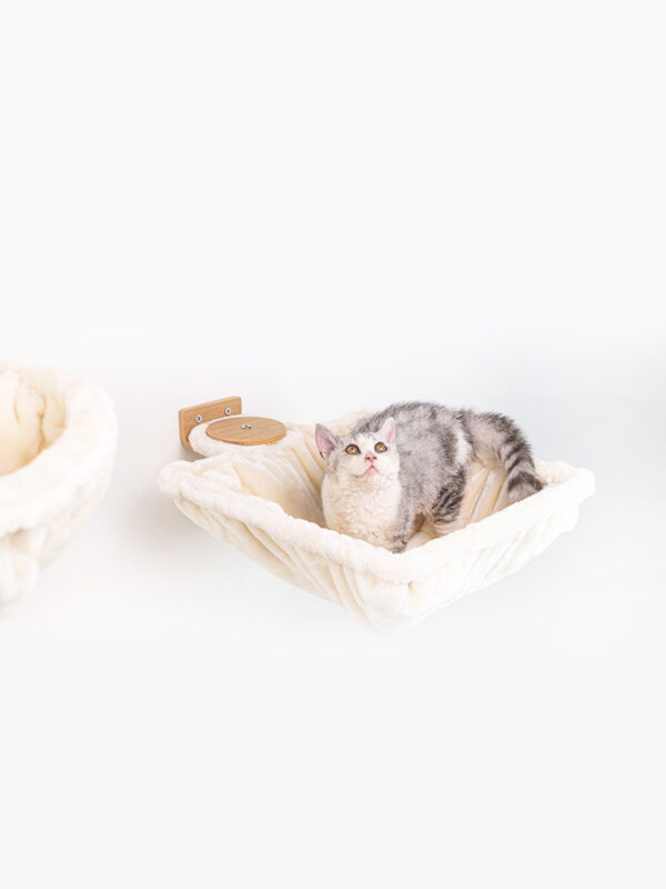 Kattenmuur Hang square 1240 set
