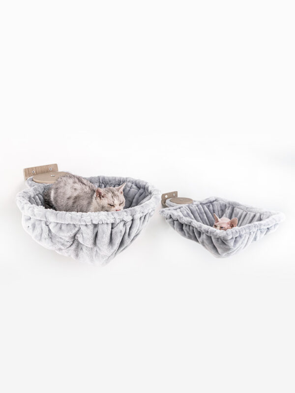 Kattenmuur Disc 15
