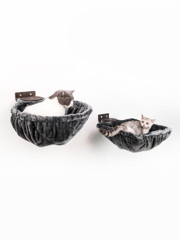 Kattenmuur Disc 15