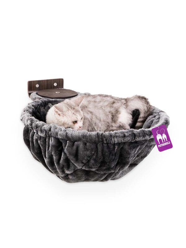 Kattenmuur Disc 15