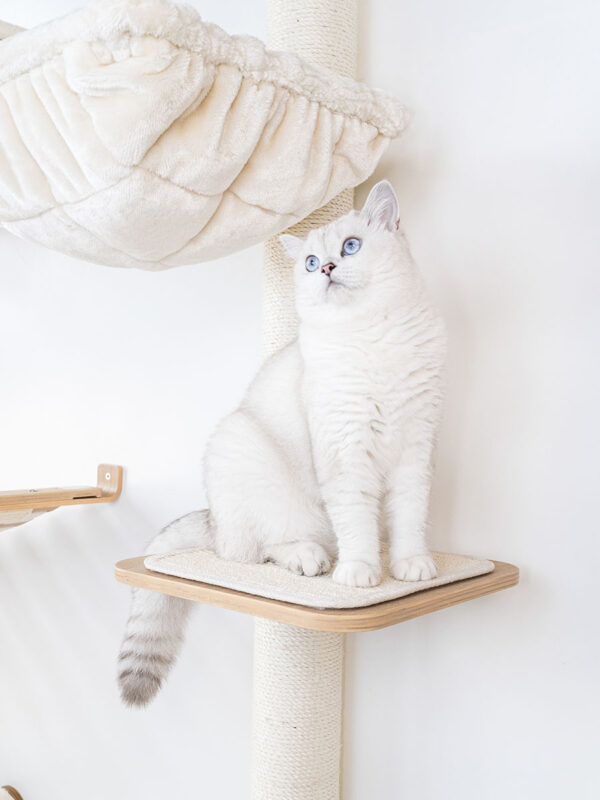 Kattenmuur Level 35
