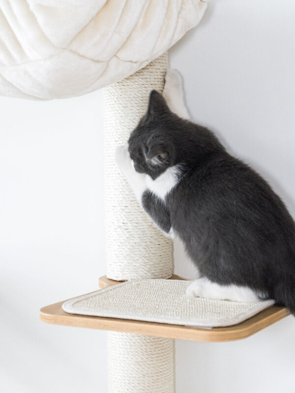 Kattenmuur Level 35