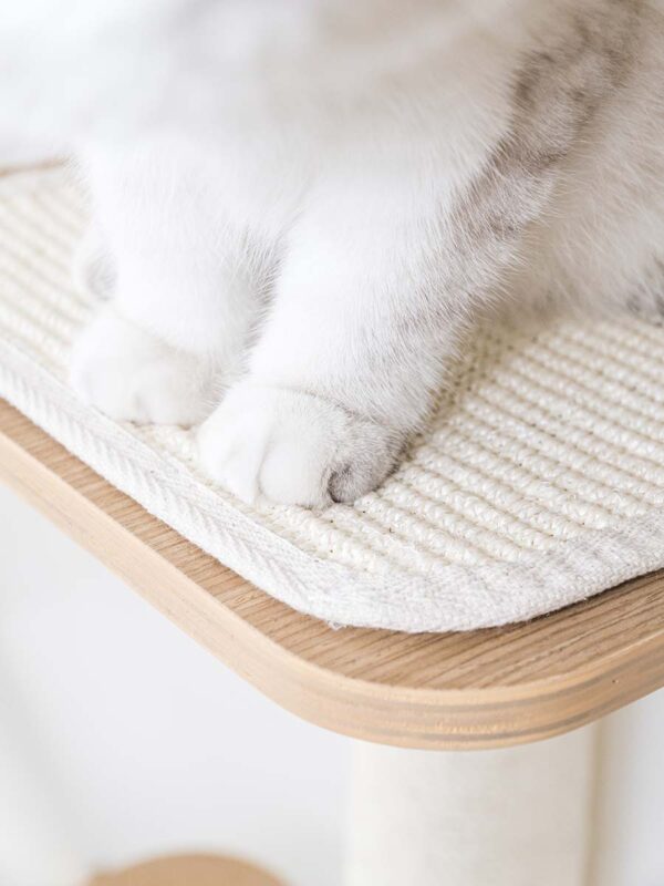 Kattenmuur Level 35