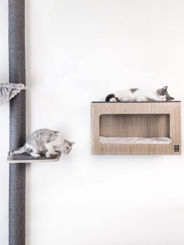 Kattenmuur Level 35