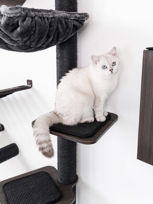 Kattenmuur Level 35