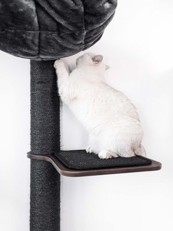 Kattenmuur Level 35