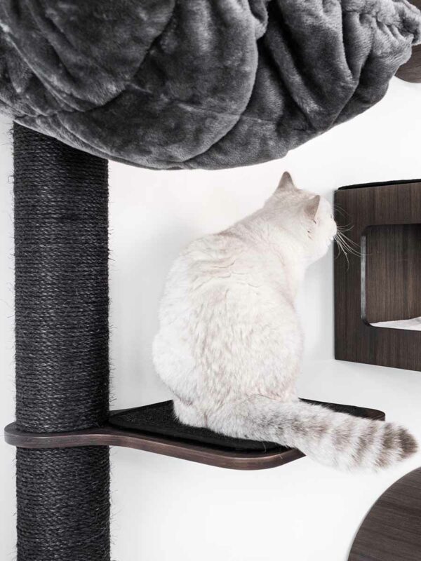 Kattenmuur Level 35