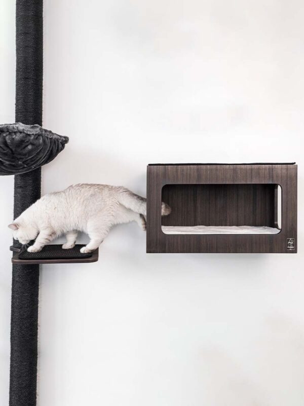 Kattenmuur Level 35