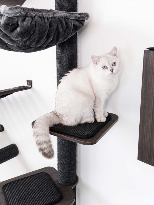 Kattenmuur Level 40