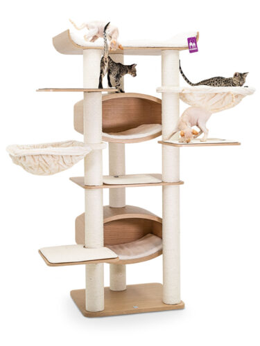 Scorpius 187 — NÉKOA