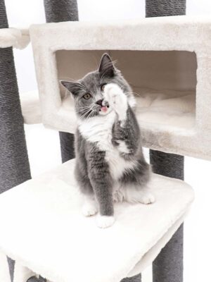 Arbre à chat Estate 170 - blanc cassé - poteau 12 cm diamètre - XXL - pour plusieurs chats