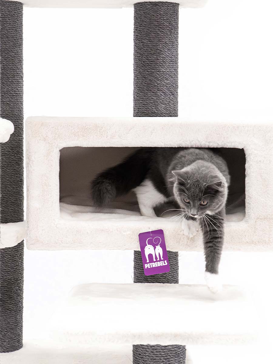 Petrebels Surface De Couchage Pour Arbre à Chat Lavable, 40 Cm, Pour Troncs De 9 Cm à 12 Cm, Avec Fermeture éclair, Couleur Beige/crème