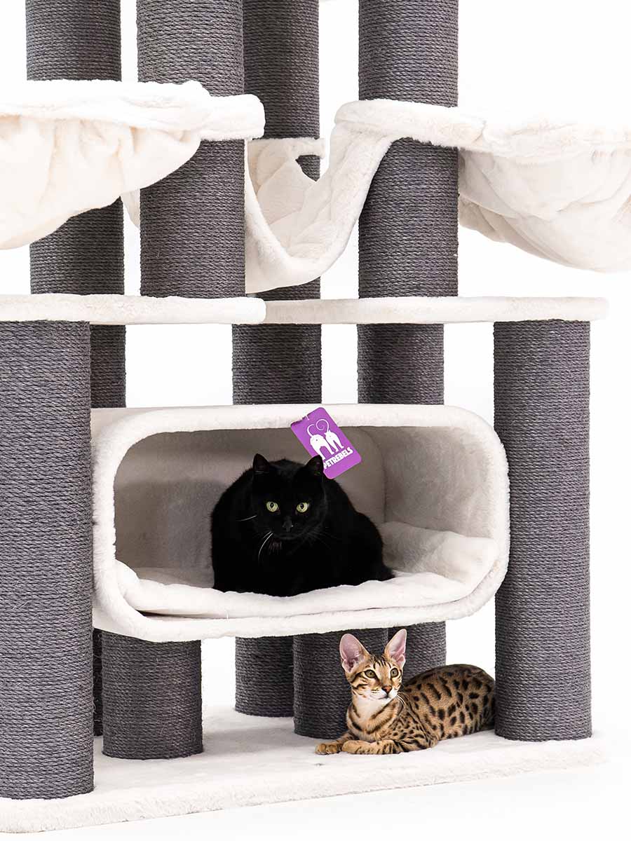 Petrebels Maine Coon Arbre à Chat XXL Route De 190 Cm De Haut