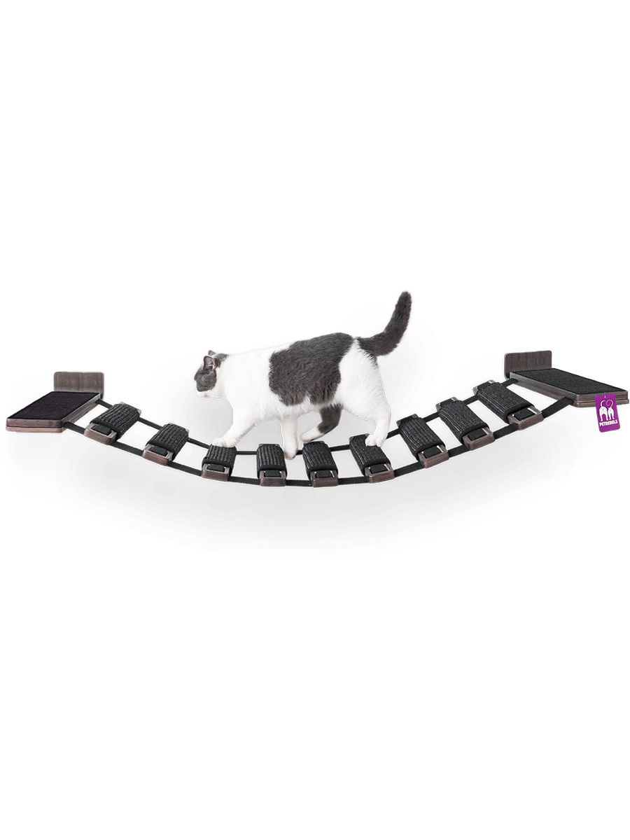 Hamac mural pour chat - Chatmouillé