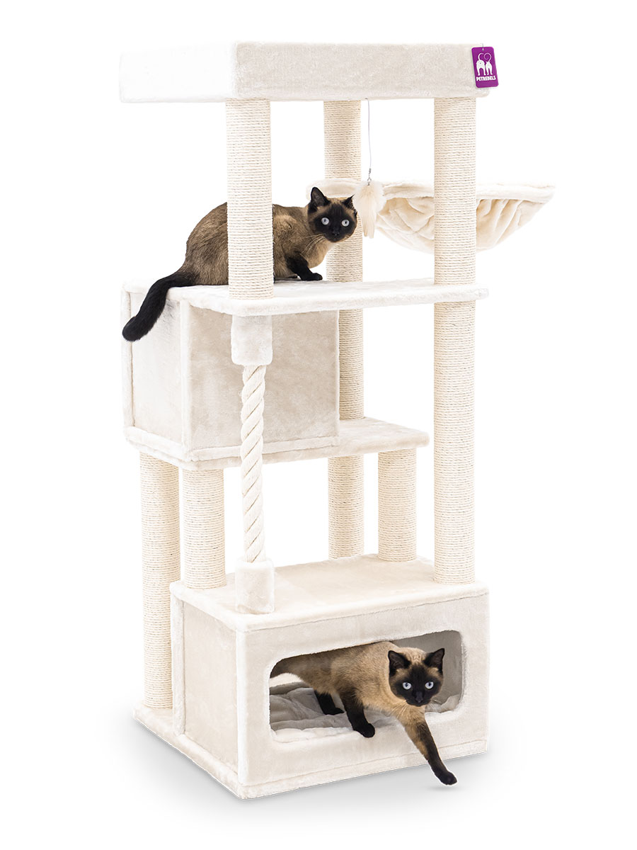 Arbre à Chat Pour Chat - Stabilité Garantie - Petrebels