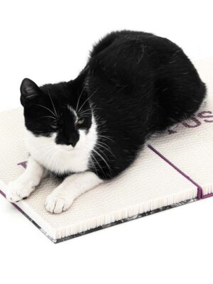Griffoir en carton pour chat The Rebels Guide - Purple - Carton recyclé